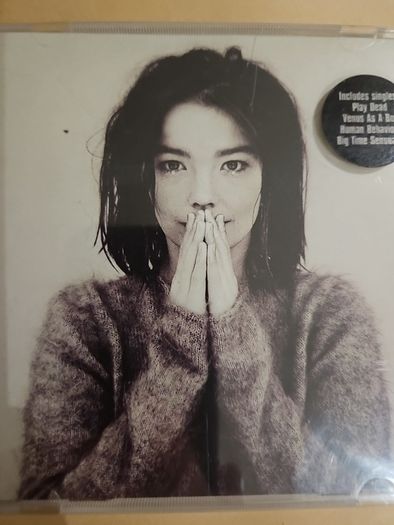Bjork - Debut.