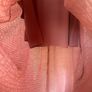 Ted Baler dress - sz 14 Image 6