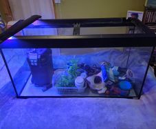 Complete 200L Aquarium Pro-Bundle