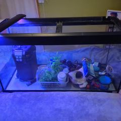 Complete 200L Aquarium Pro-Bundle