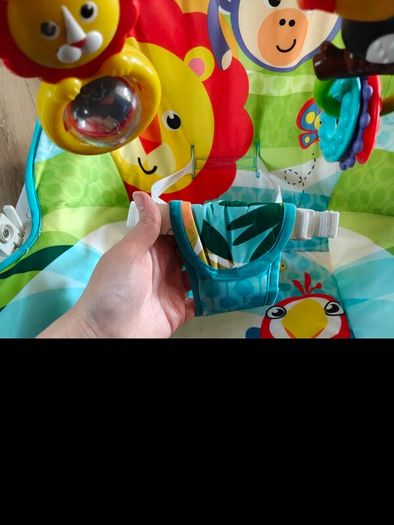 infant to toddler rocker.