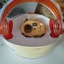 hamster Habitrail Image 2