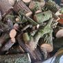 Firewood Image 5