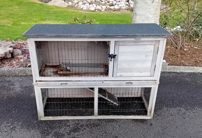 Rabbit/Guinea-Pig Hutch
