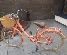 Forme Edale Womens Classic Bike
