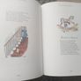 Vintage Winnie-the-Pooh Hardback Book by A.A. Milne (2004) Image 6