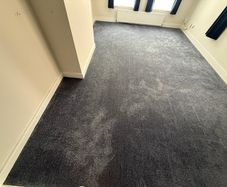 Carpet and underlay 555x342cm