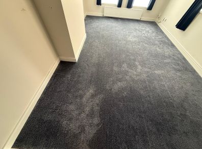 Carpet and underlay 555x342cm