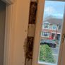 Frankies plastering - 45 years experience, in Dublin. Image 3