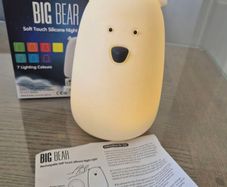 Bear night light