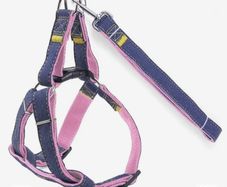 Dog harness+ more sold job lot or in pieces 550 dog harness+ accessories