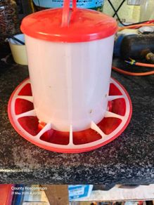 Small hen feeder