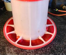 Small hen feeder