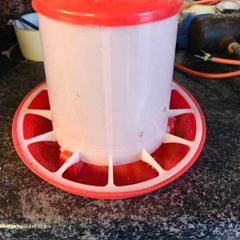 Small hen feeder