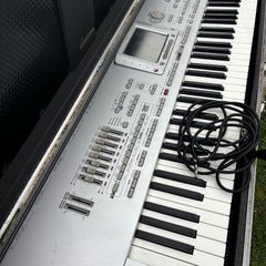korg