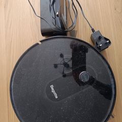 Robot hoover