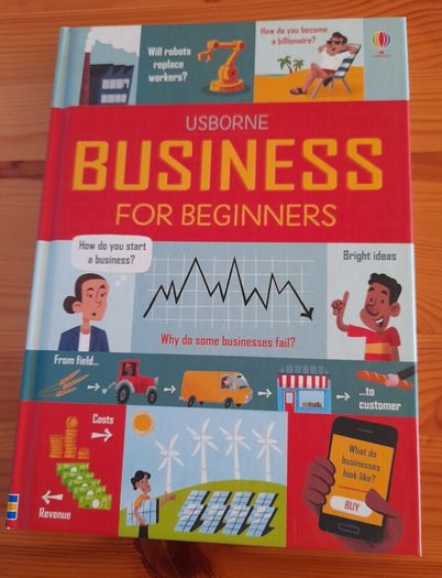 New:  Usborne Business for Beginners