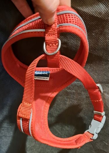 Sold as one lot Dog coats, Leeds, harnesses, dog carry bag, dog boots, 2 new lick matts other bits new stuff also