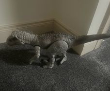Indominus Rex