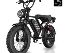 Aovopro AP20 Fat Tyre Bike