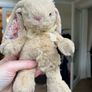 Cute Cuddly Rabbit x 2 Image 2