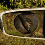 Flymo Compact 300 Lawnmower Image 8