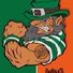 THE IRISHMAN