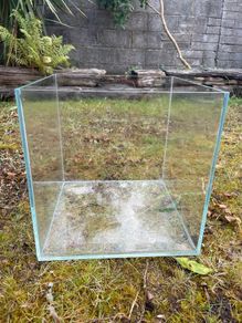 fish tank