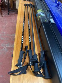 Pair of Ski Poles and Protective Case