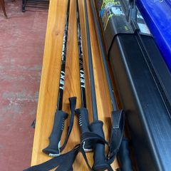 Pair of Ski Poles and Protective Case