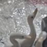 NAO Duck Trio. In excellent condition Image 3