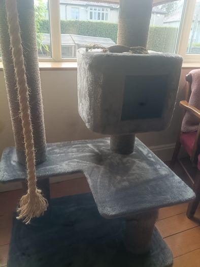 cat scratching post