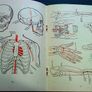 Emergency street first aid for air raid casualties World War 2 1942 Image 5