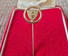 Vintage Irish Pioneer Pin