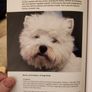 West Highland White Terrier.manual And Reference Guide.  Hardback In Good Condition. Image 8