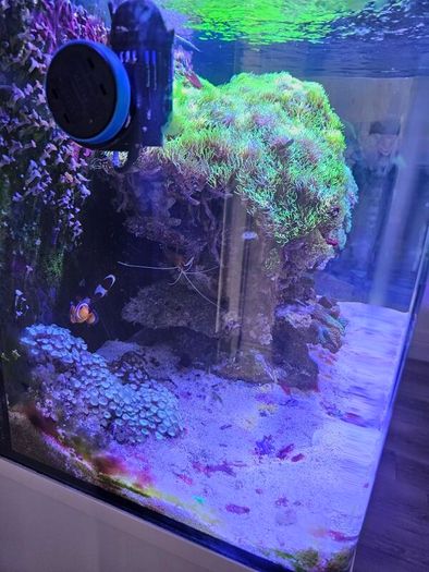 aqua one aquarium