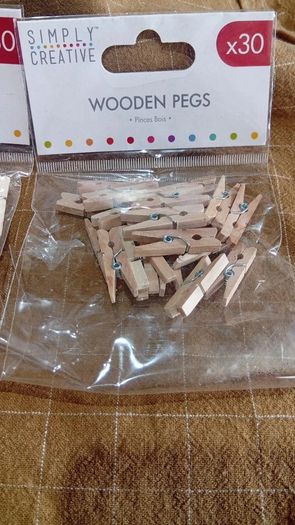 Craft Miniature Wooden Clothes Pegs