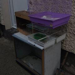bird cages