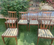 6 G plan dining  chairs