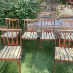 6 G plan dining  chairs