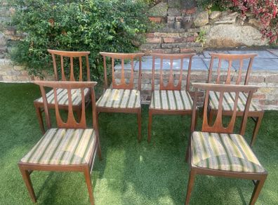 6 G plan dining  chairs