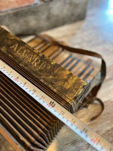 vintage Accordion