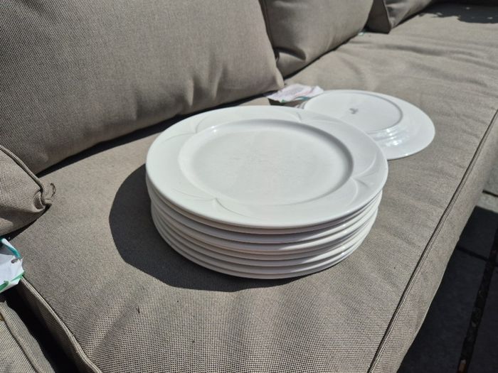 Crockery Dinner Plates