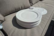 Crockery Dinner Plates