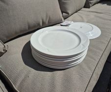 Crockery Dinner Plates