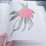V large hardback book, An Irish Florilegium, D18 post 15e Image 4