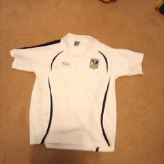 Limerick.  G.a.a.  Tee. Shirt.  XL