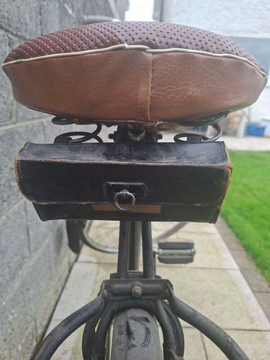 Vintage Roadster Bike