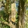 Antique Chatillons New York Brass Scales Image 3