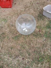 fishbowl